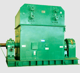 T系列大型上水冷三相同步電動機