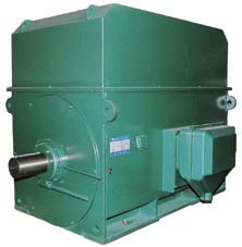 YTM,YHP,YMPS系列6KV磨煤機(jī)用電動(dòng)機(jī)